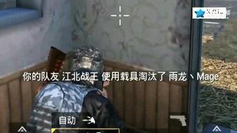 壮哥爆料吃鸡视频播放,精彩瞬间回顾，带你领略绝地求生魅力  第1张